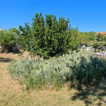 Villa Hacienda De Olivos